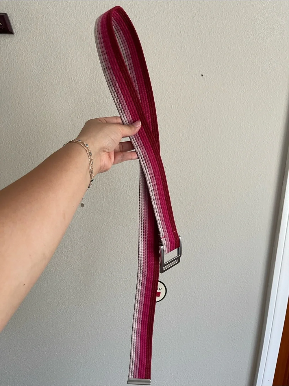 Truth Striped Pink & Fuchsia Webbing Belt with Metal Buckle